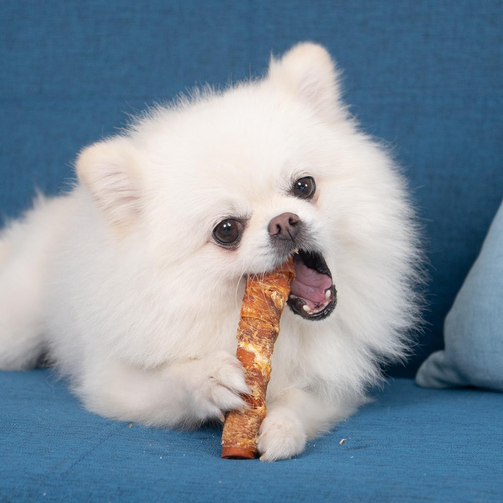 MON2SUN tratos caninos: ingredientes naturales para opción sabrosa