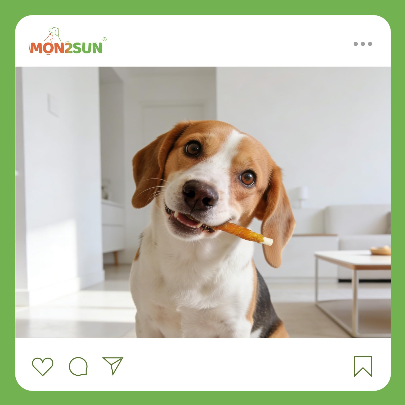 MON2SUN uso-diario-para-cachorros, fácil de incluir en la rutina diaria.