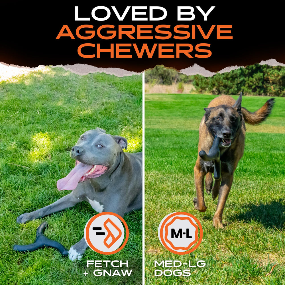 Alta durabilidad para perros grandes que muerden con fuerza con Monster K9
