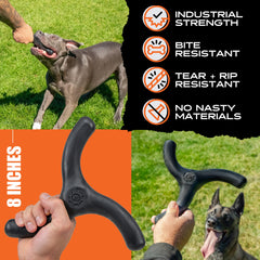 Perro masticando Monster K9, distracción duradera y segura