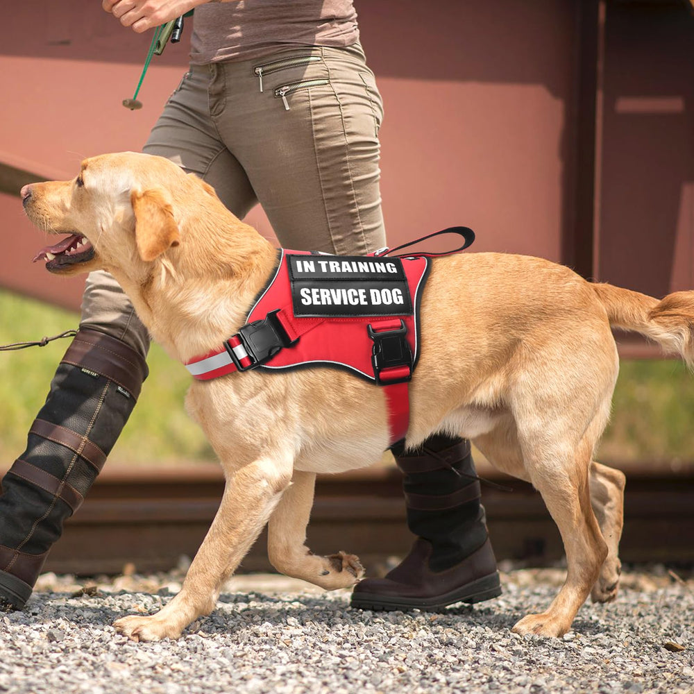 MOOGROU ajuste de tamaño para perros de distintos tamaños