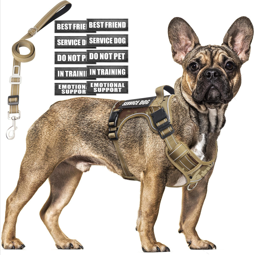 MOOGROU arnés perro táctico camo: control seguro en paseos nocturnos