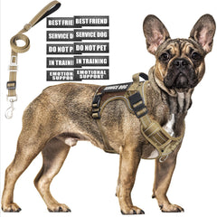 MOOGROU arnés perro táctico camo: control seguro en paseos nocturnos