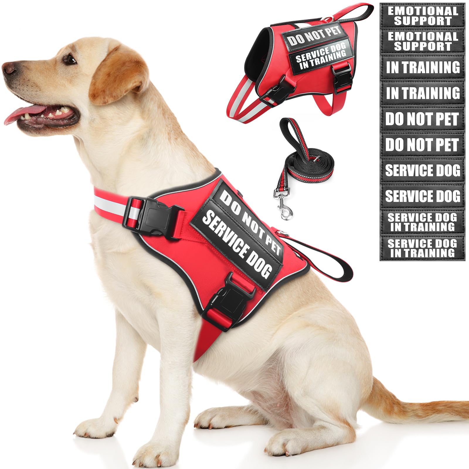 ARNES MOOGROU para perro de servicio con parches personalizables para señalizar estado.