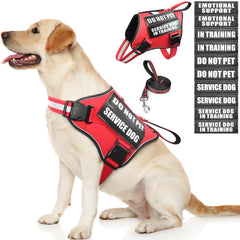 ARNES MOOGROU para perro de servicio con parches personalizables para señalizar estado.