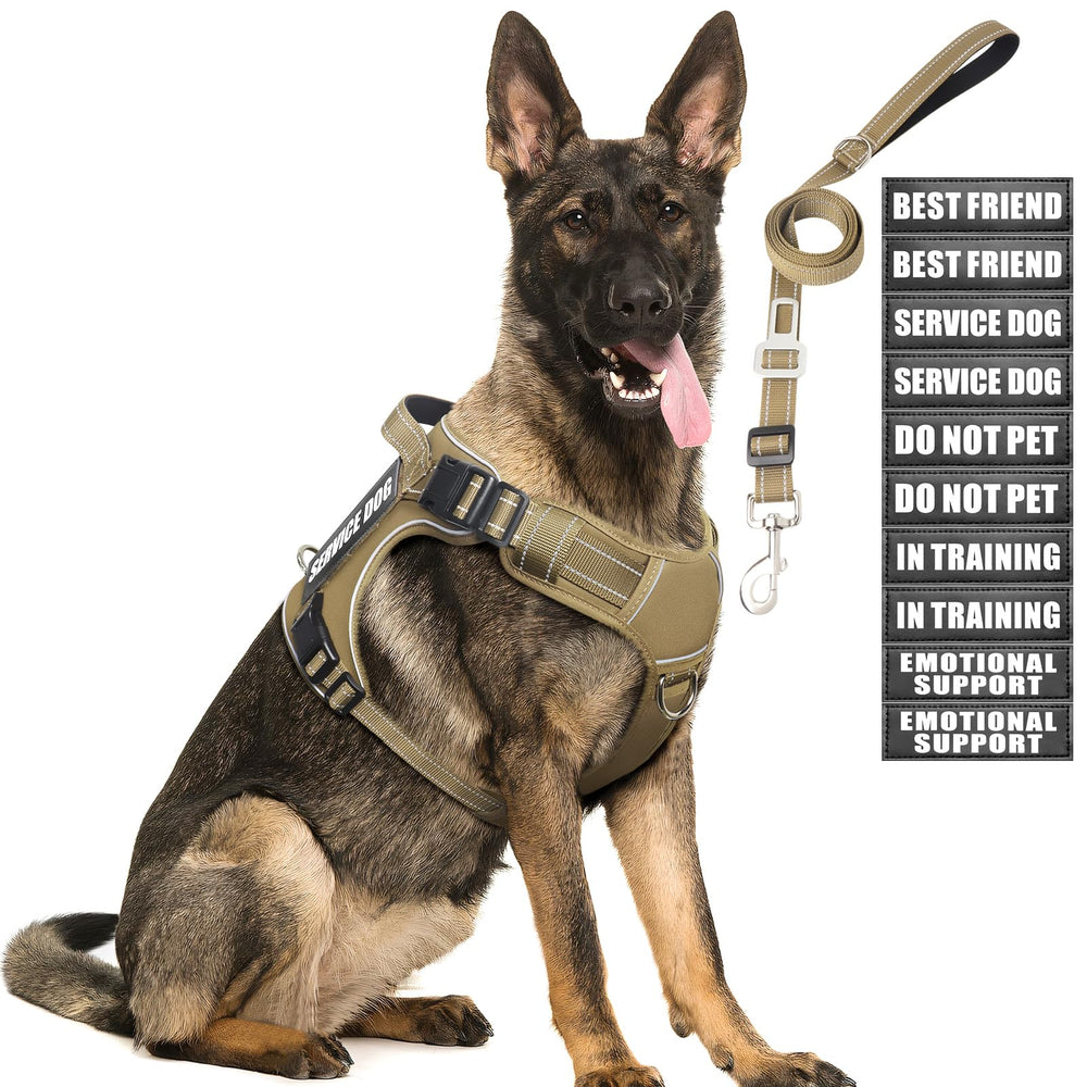MOOGROU arnés táctico para perro grande, vista frontal para paseos seguros.