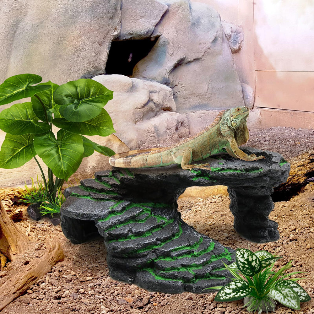  Moonorange planta con pedestal firme para terrario