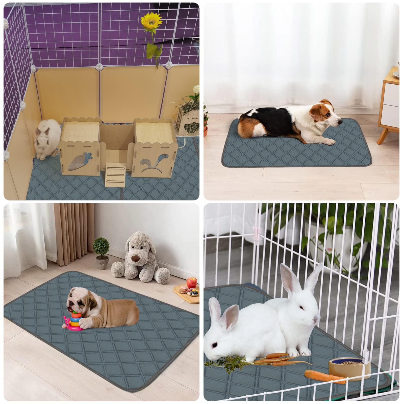Uso multipropósito para roedores y mascotas pequeñas con Mooydee.