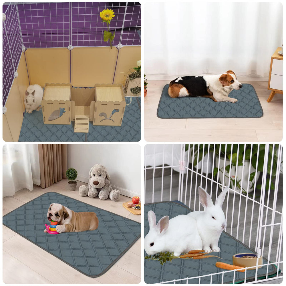 Uso multipropósito para roedores y mascotas pequeñas con Mooydee.
