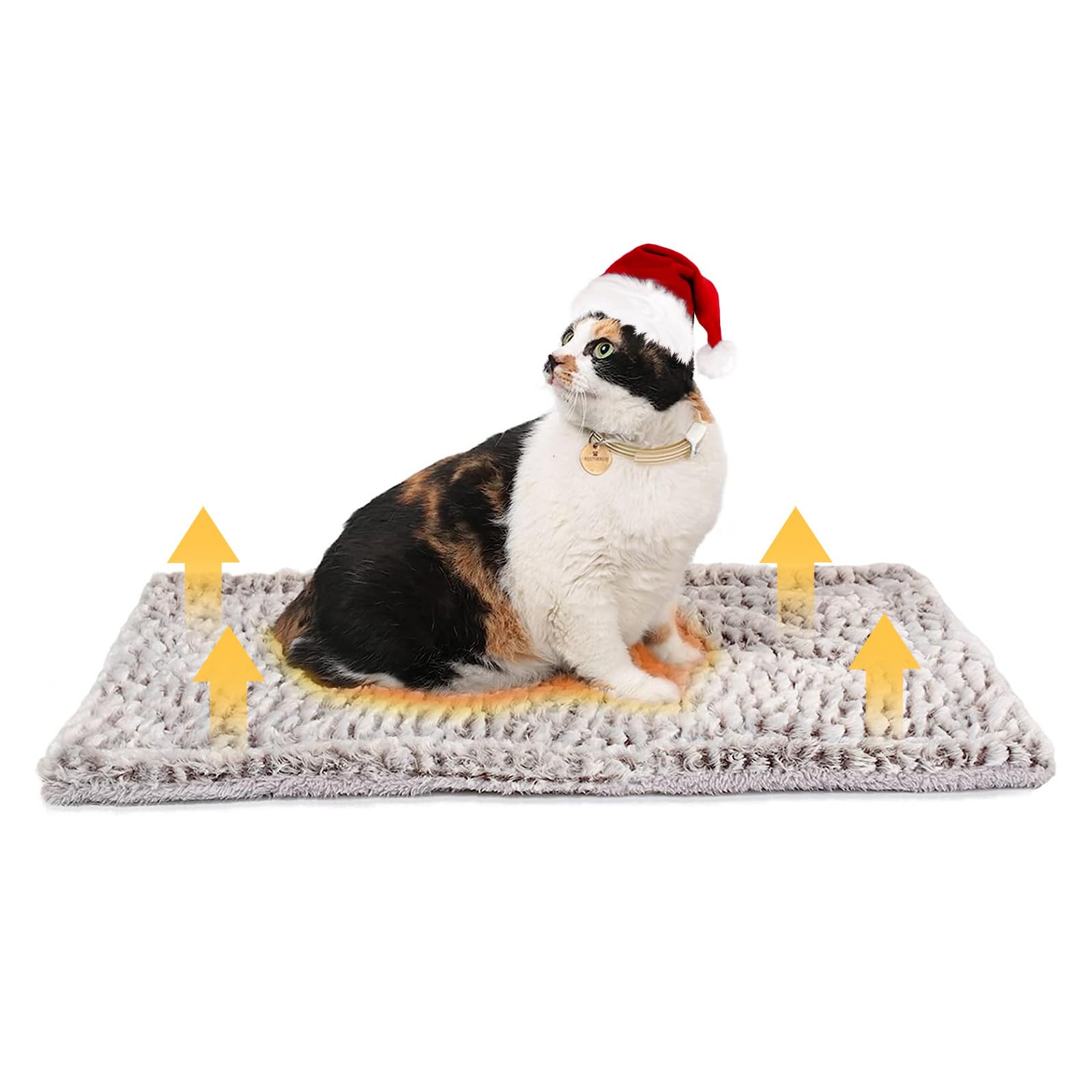 Mora Pets: opción fiable para perros pequeños y gatos.