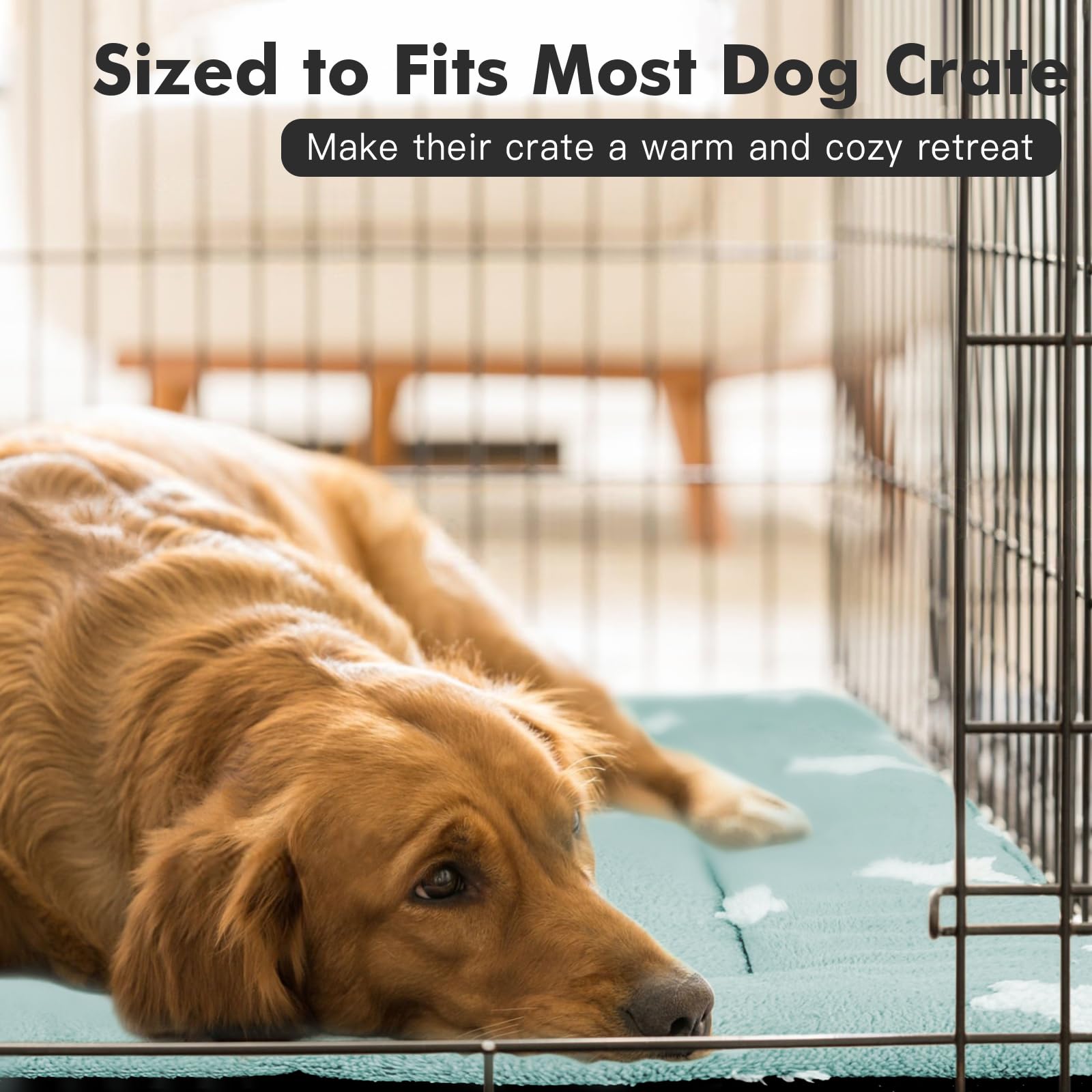 Cama Mora Pets 22x13 pulgadas, apta para gatos o perros pequeños.