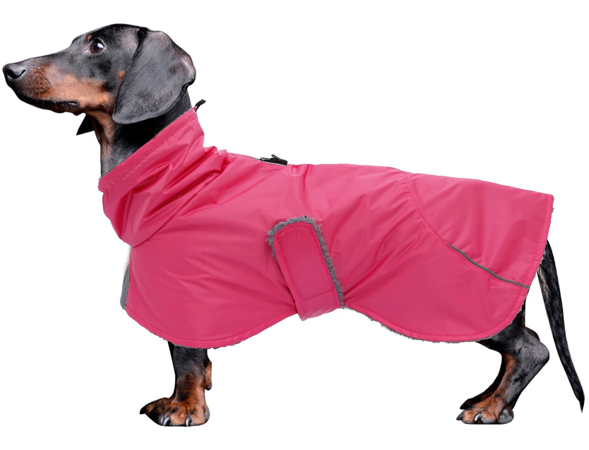 Morezi abrigo impermeable para dachshund, protección contra lluvia y viento durante paseos.
