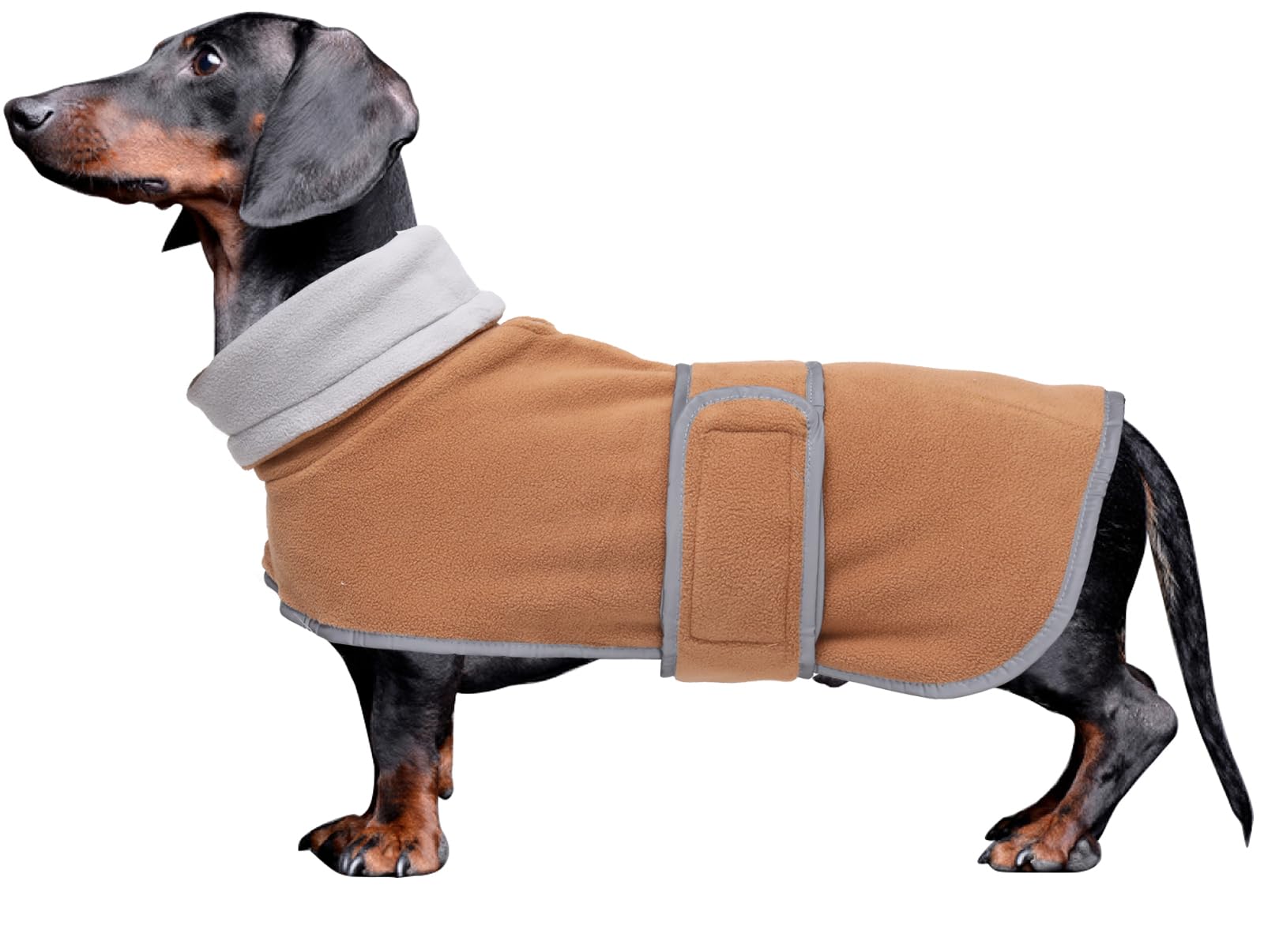 Morezi abrigo dachshund con cierre de velcro, ideal para mantener el calor.
