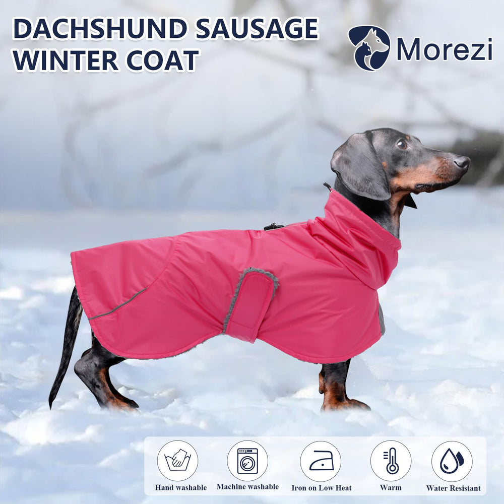 Capa Morezi para dachshund con ajuste de cuerpo y correas delanteras.