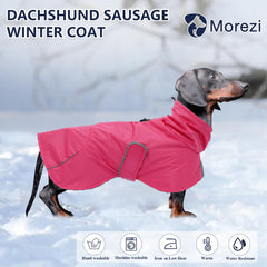 Capa Morezi para dachshund con ajuste de cuerpo y correas delanteras.