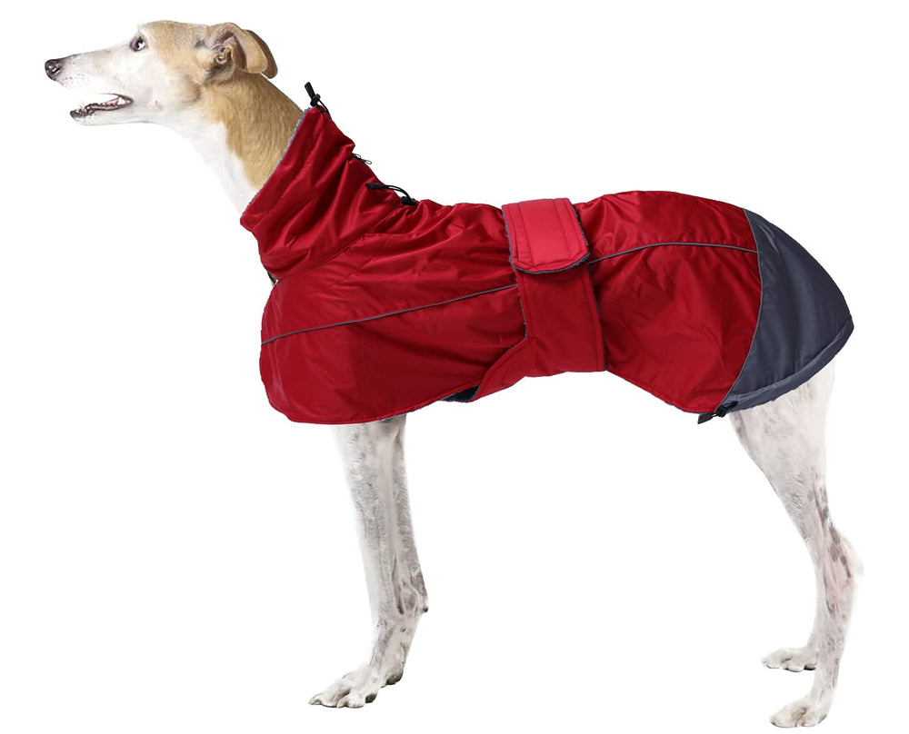 Morezi capa de invierno para Greyhound: protección ligera contra el viento.