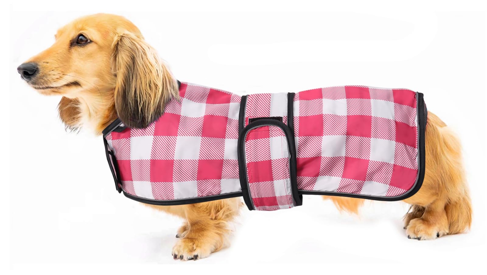 Morezi capa lluvia para perro salchicha, espalda larga, ajuste cómodo para paseos.
