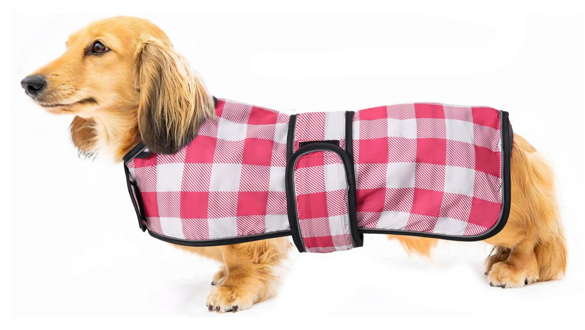 Morezi capa lluvia para perro salchicha, espalda larga, ajuste cómodo para paseos.
