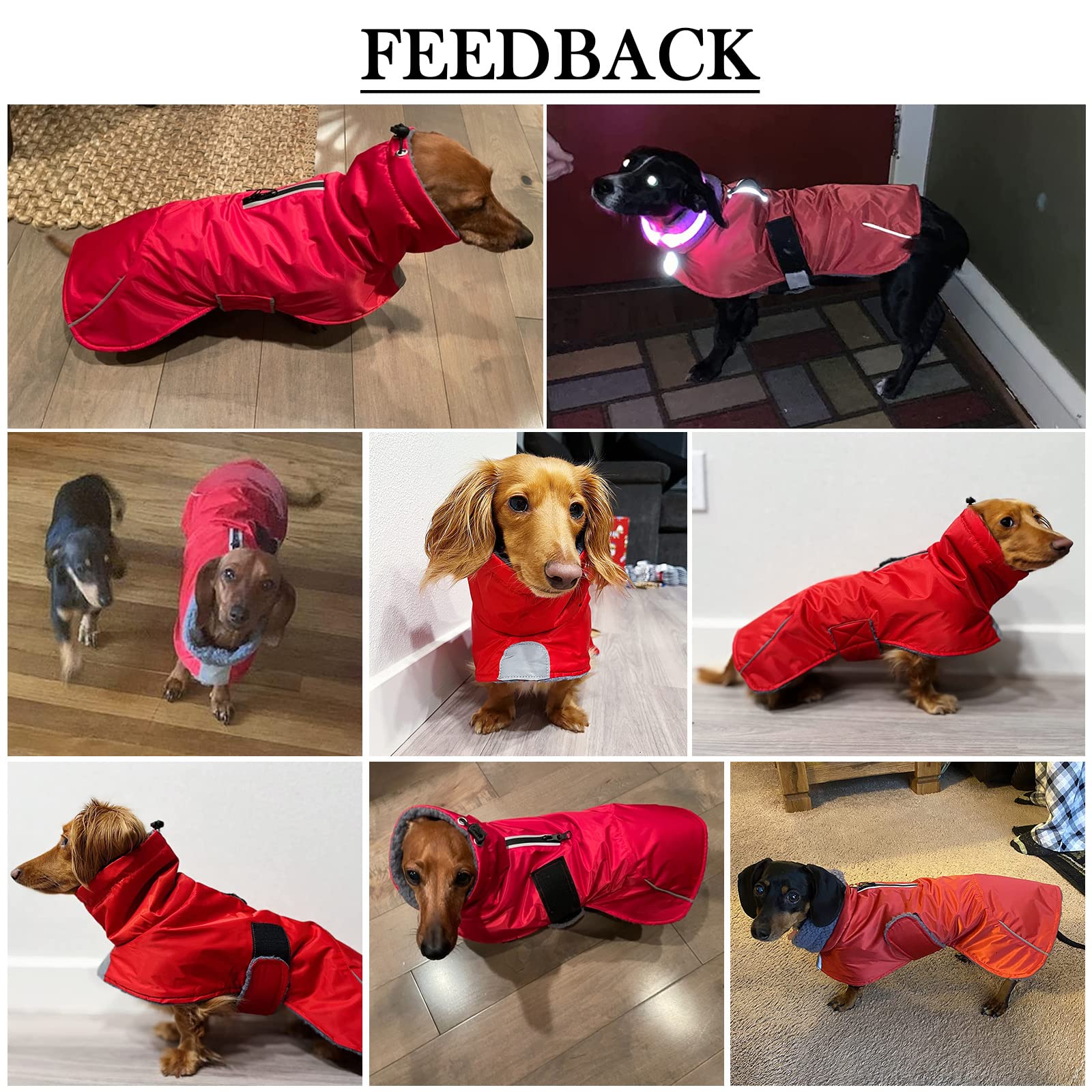 Chaleco dachshund con banda reflectante para visibilidad nocturna