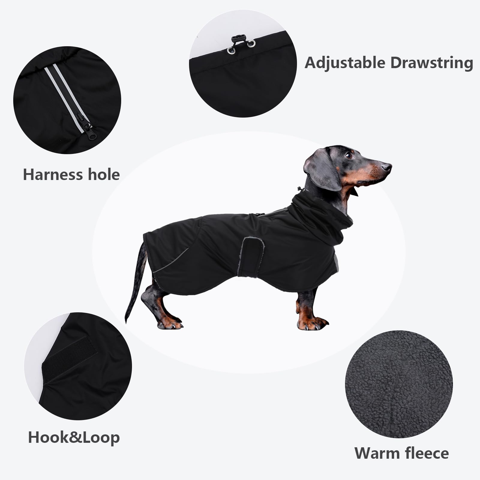 Morezi chaleco dachshund con orificio para arnés, paseos seguros