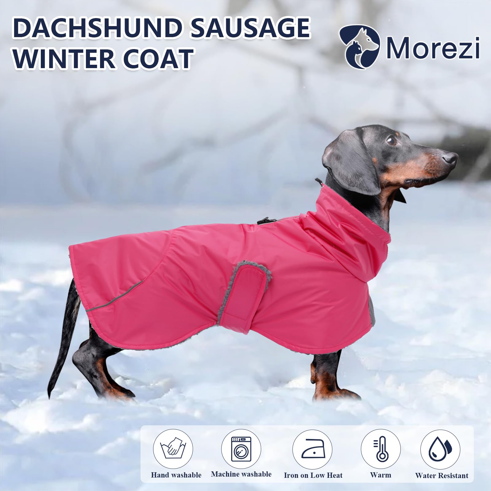 Morezi chaqueta dachshund con ajuste frontal para un confort estable.