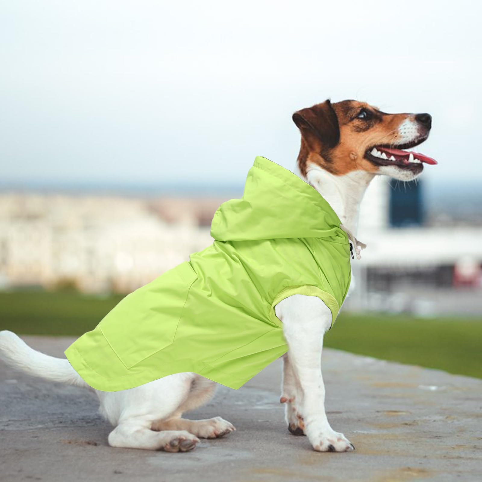 Morezi chaqueta lluvia para perros verde claro bolsillo trasero para objetos pequeños.
