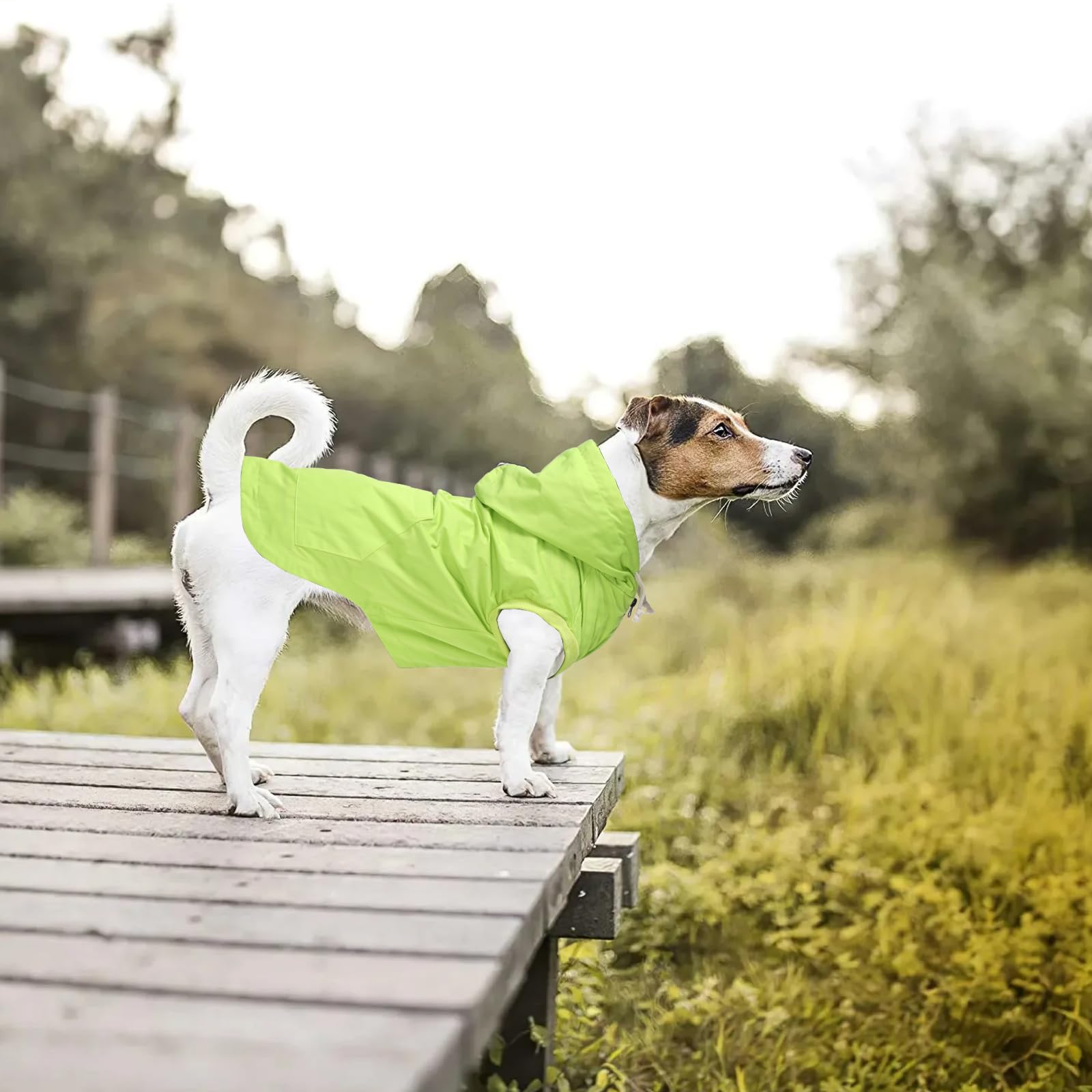 Morezi chaqueta lluvia para perros verde claro orificio arnés, uso con arnés sin quitarla.