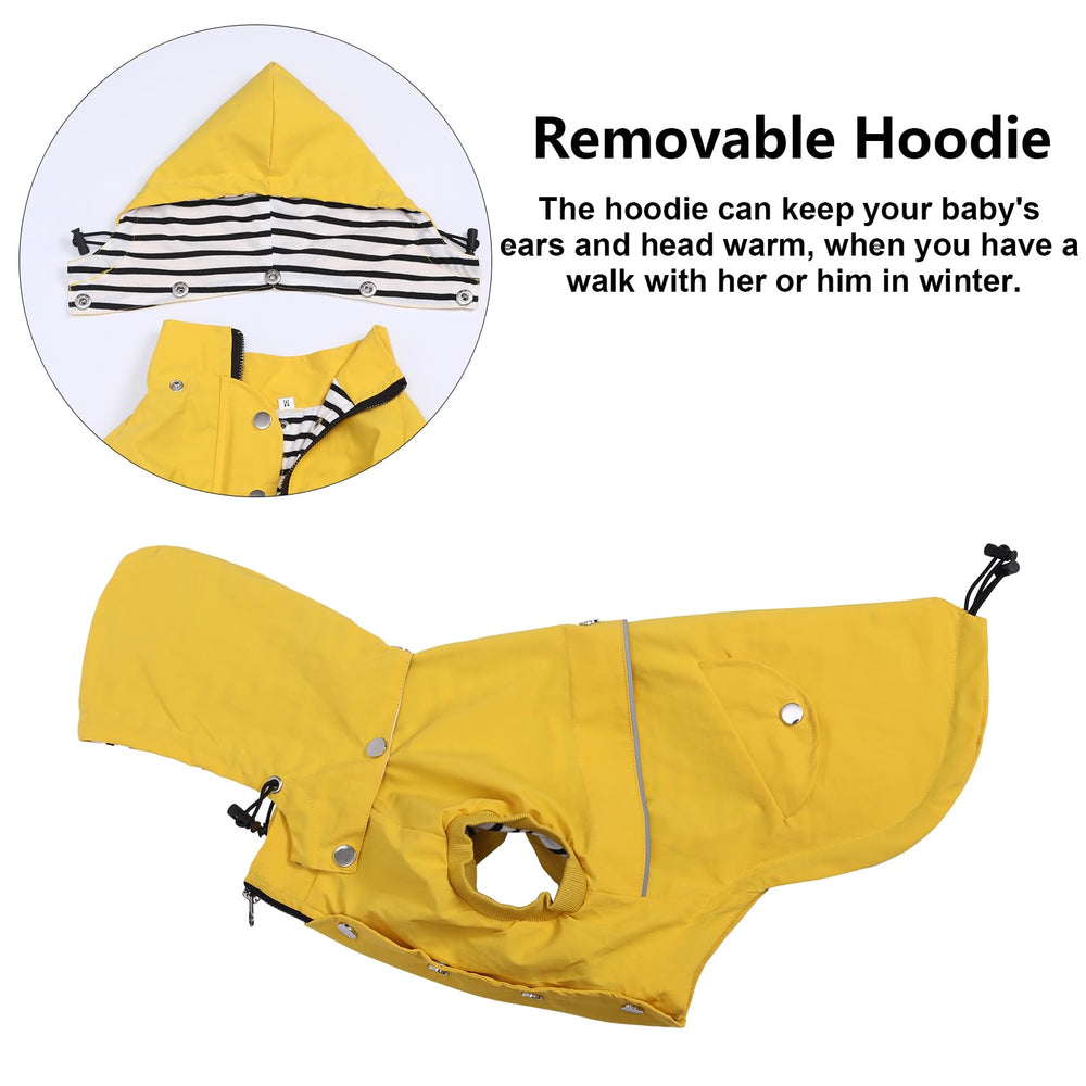 Morezi chaqueta con bolsillos traseros para accesorios durante el paseo