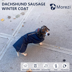 Cierres ajustables de la chaqueta Morezi para perro salchicha, ajuste cómodo durante caminatas.