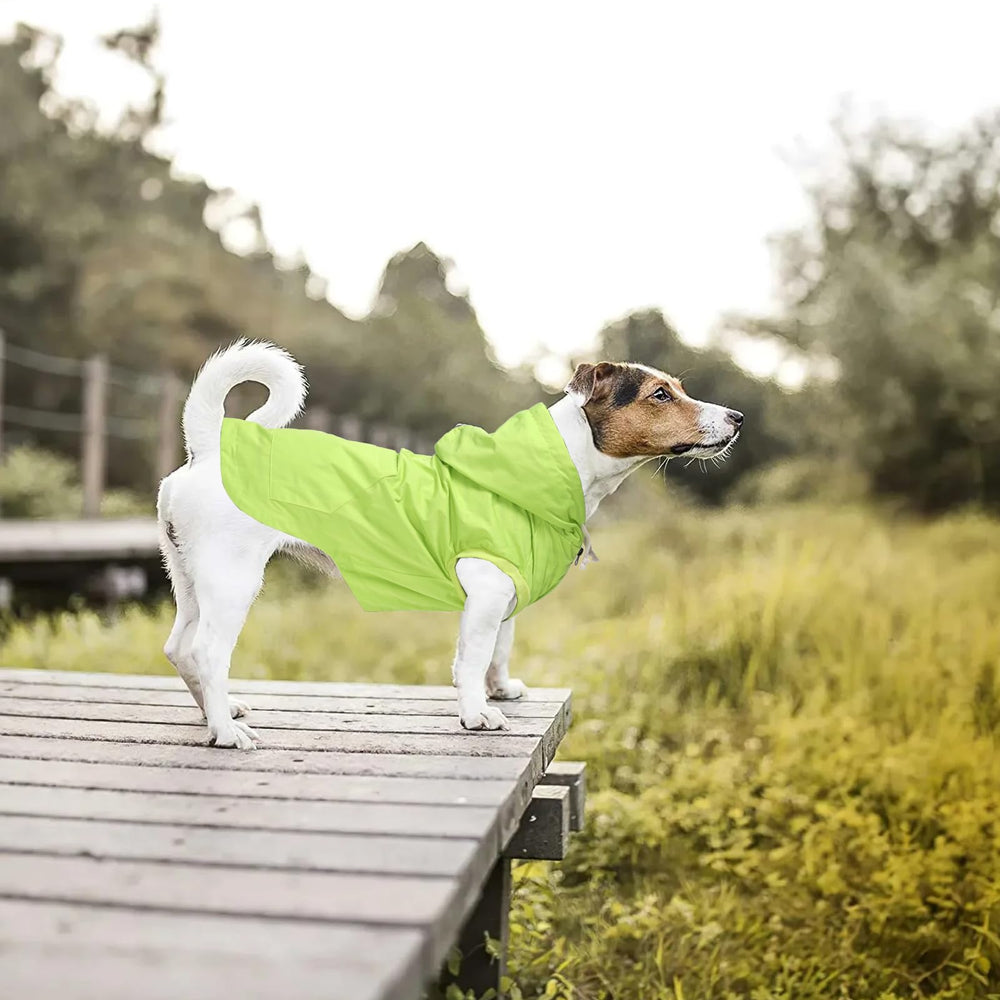 Morezi chubasquera para perros, talla XL, adecuada para razas pequeñas y medianas.