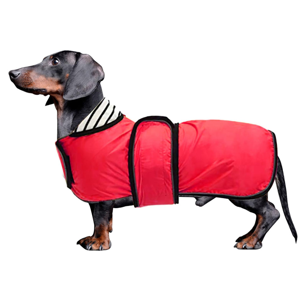 Morezi impermeable para dachshund de lomo largo, protección ligera contra la lluvia.
