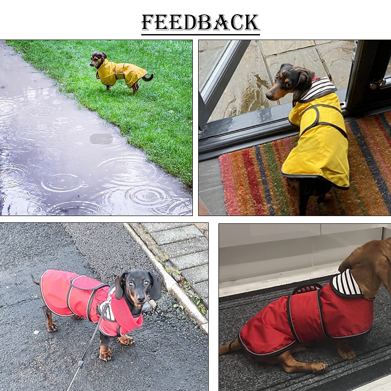 Morezi impermeable lavable a máquina para limpieza rápida tras salidas mojadas.
