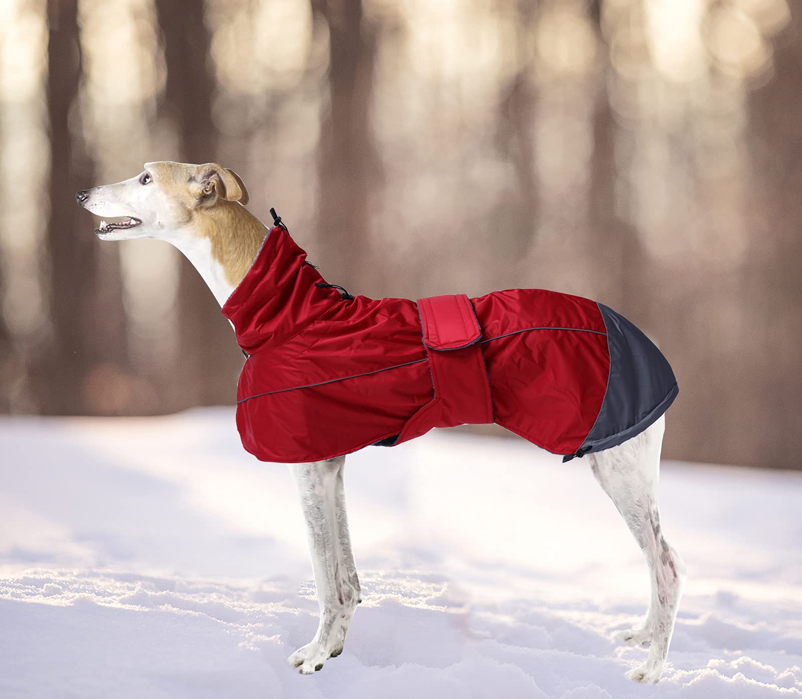 Morezi lavado a máquina: cuidado fácil para ropa de perro.