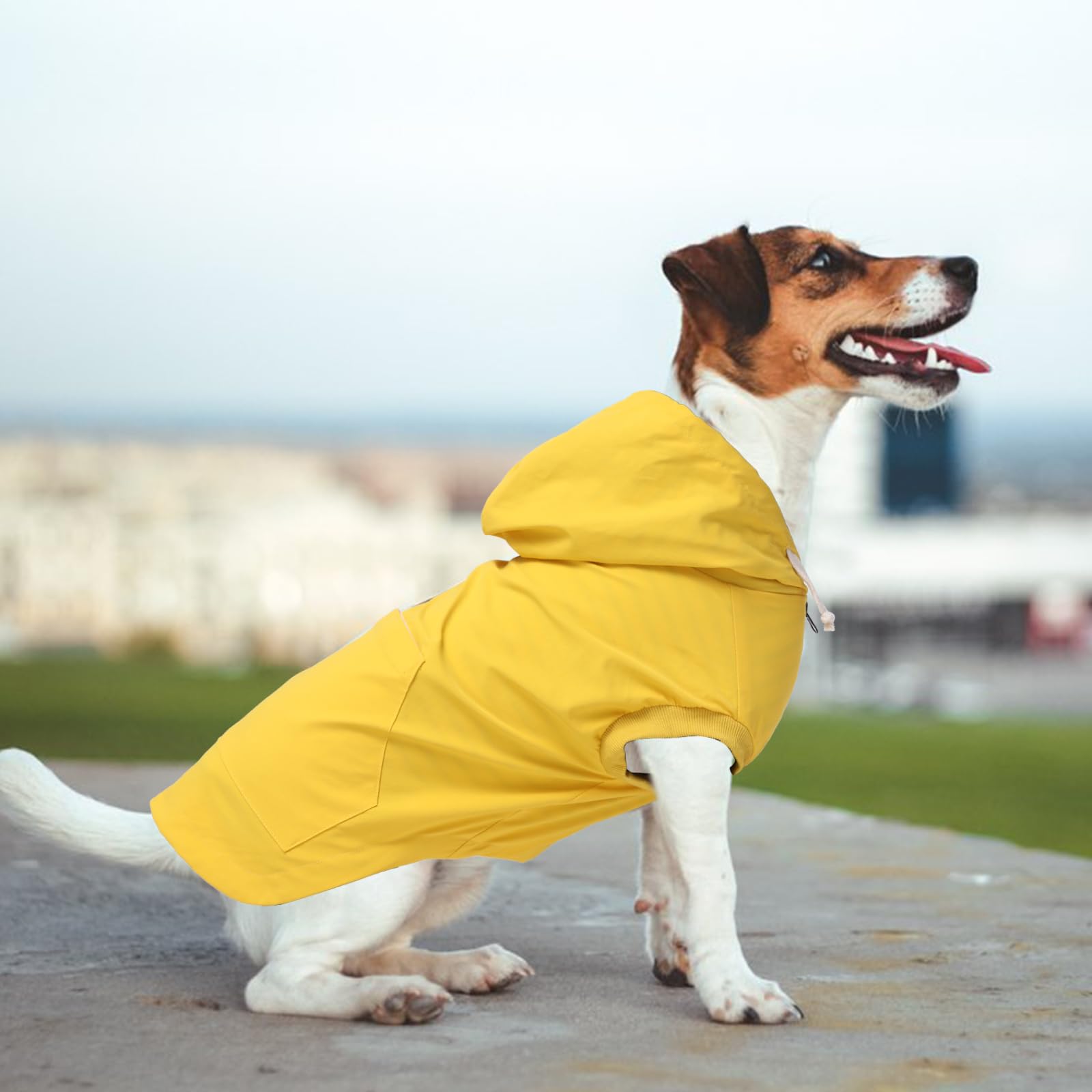 Morezi chaqueta impermeable con ajuste cómodo para pecho, ideal para perros pequeños y medianos