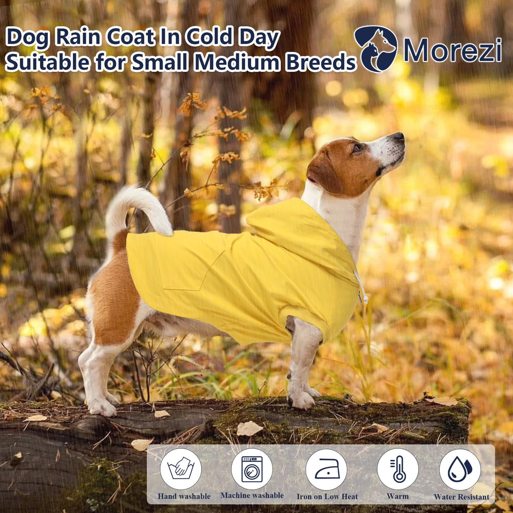 Morezi impermeable con capucha para perros, mantiene seco en días nublados