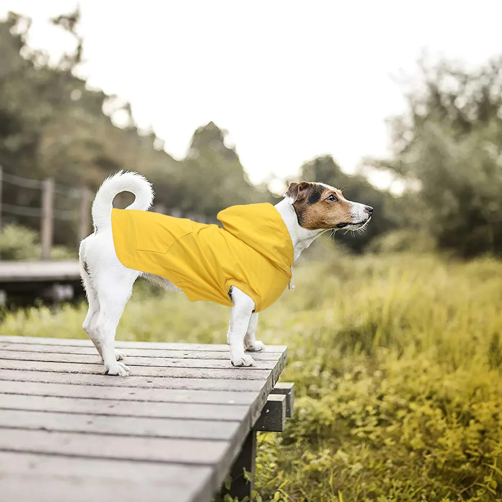 Morezi impermeable de color amarillo brillante para perros, visible y práctico en caminatas