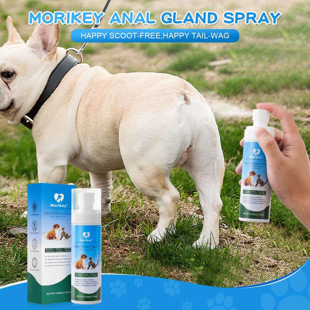 Morikey rociador anal para perros y gatos, ayuda a mantener sensación de limpieza.