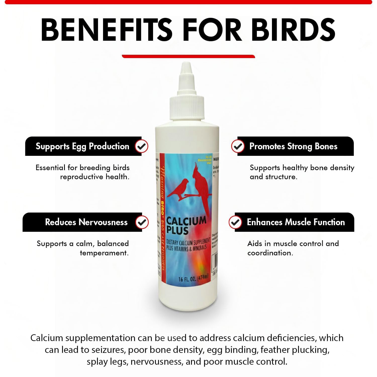 Morning Bird Calcium Plus Líquido con vitamina D3 y magnesio para mejor absorción