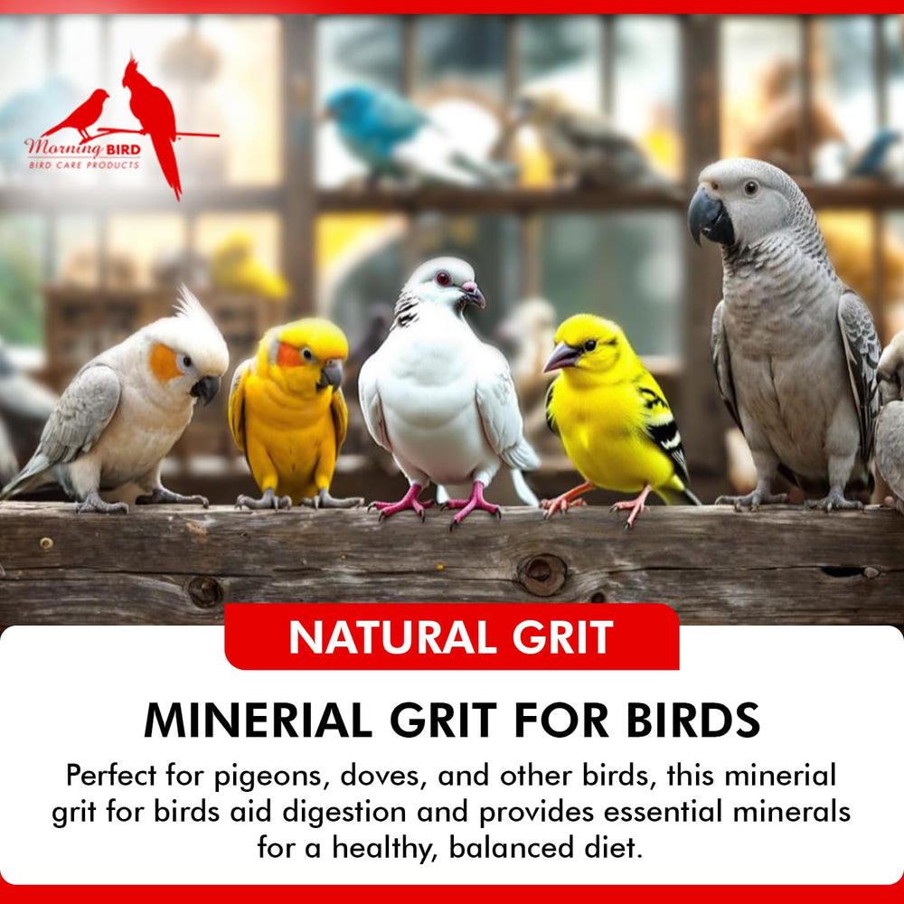 Morning Bird granulado para palomas, bolsa de 18 libras, almacenamiento práctico.