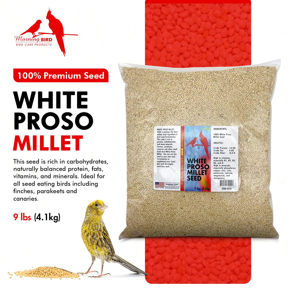 Morning Bird Mijo Blanco para aves: base nutritiva diaria.