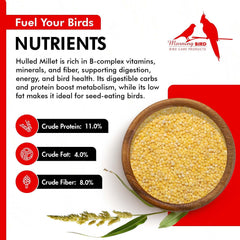 Envase reutilizable Morning Bird, mantiene la frescura y reduce residuos