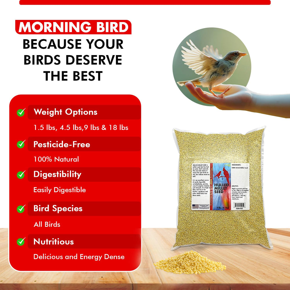 Plumas brillantes en aves gracias al Morning Bird mijo pelado