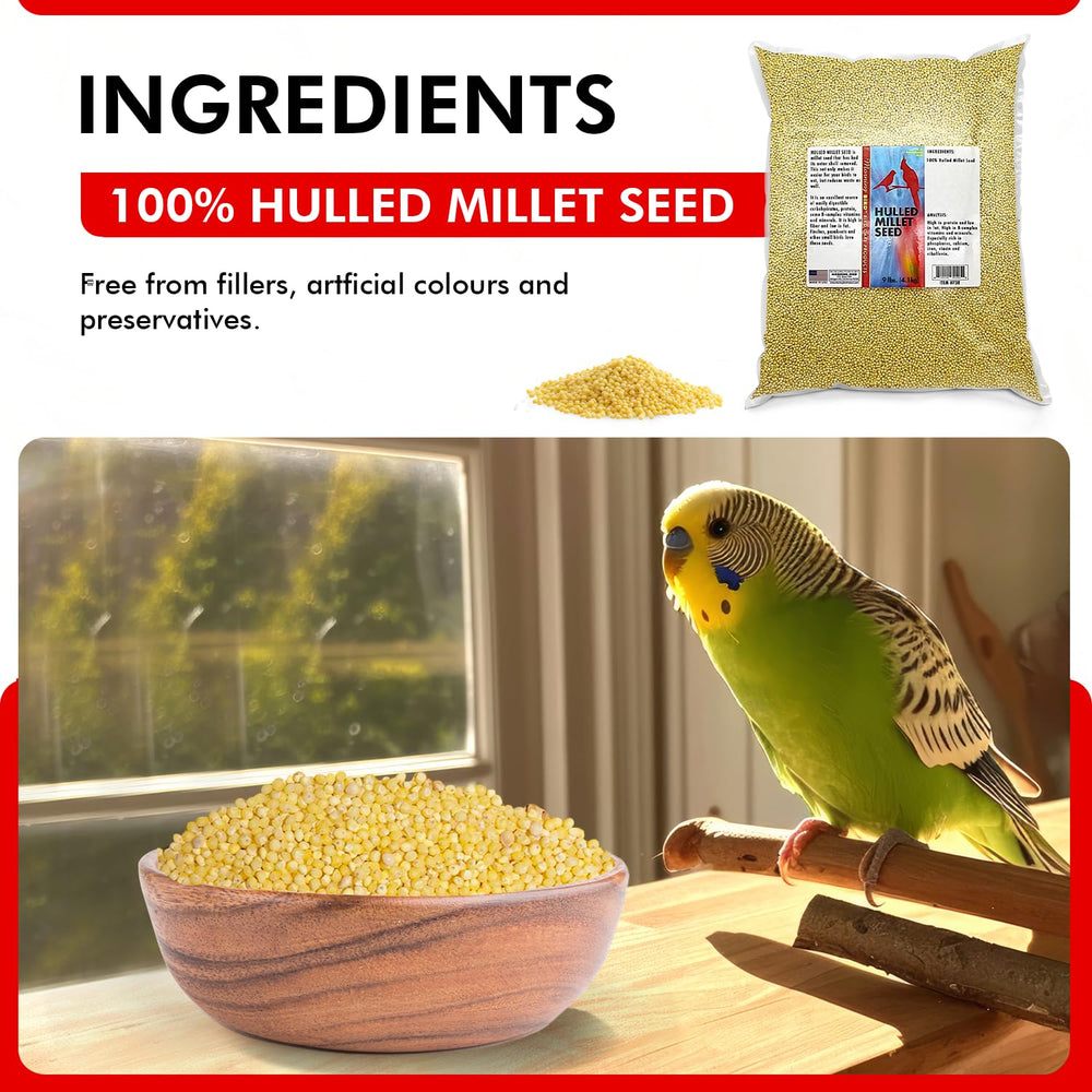 Mijo pelado Morning Bird sin cáscara facilita la alimentación diaria