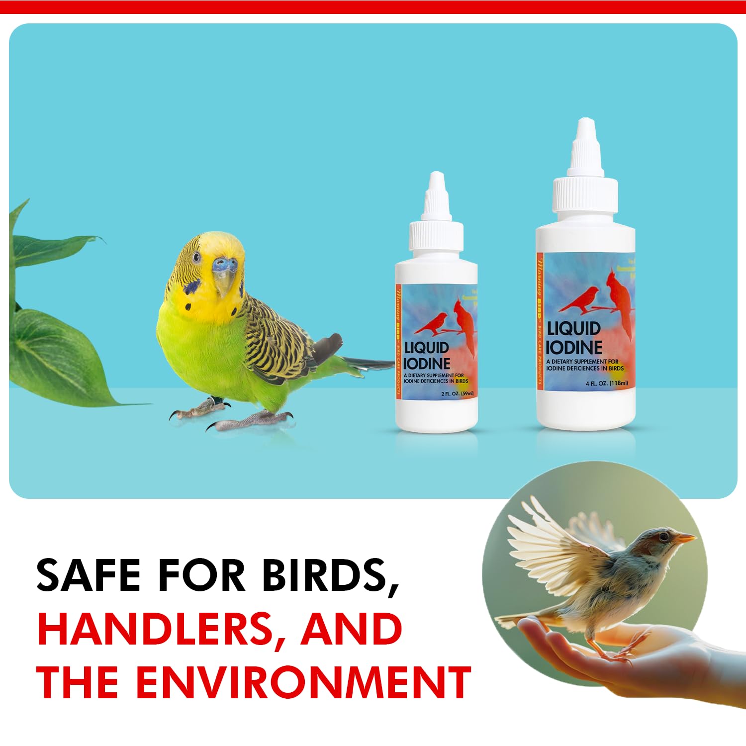 Morning Bird minerales yodo para aves, aporte mineral equilibrado.