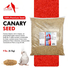 Morning Bird semilla canario en bolsa para una dieta equilibrada de aves.