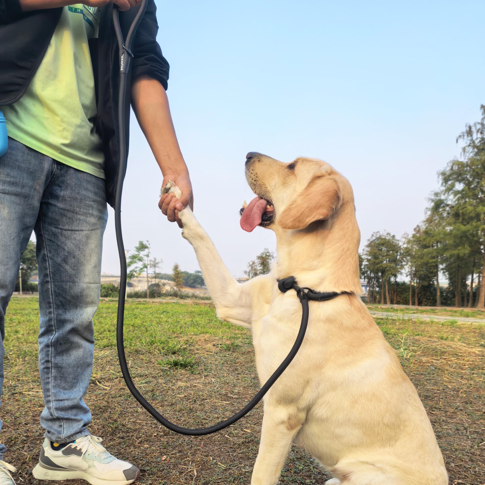MORXIL Slip Lead ideal para perros grandes gracias a su agarre cómodo.
