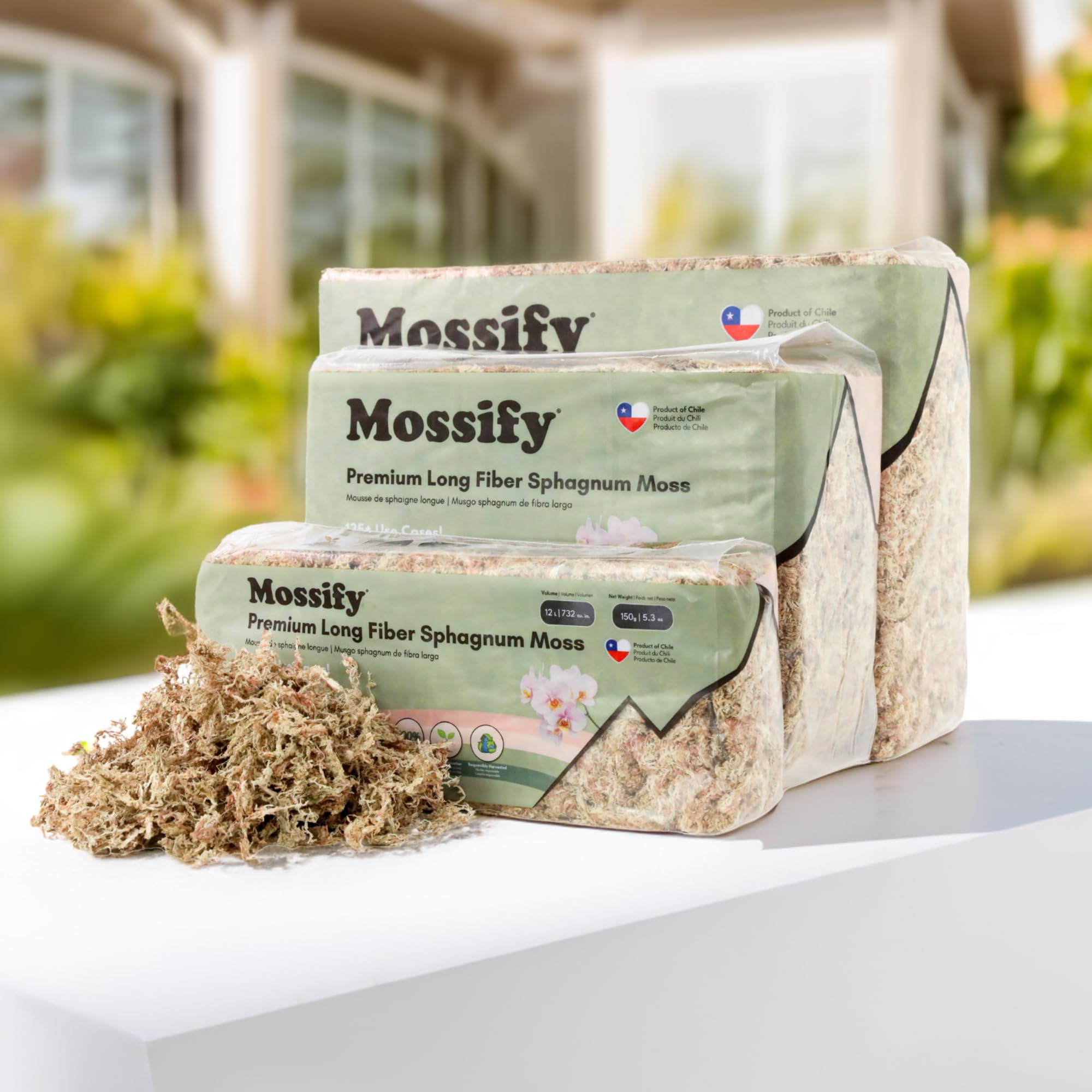 Mossify musgo esfagno preservado para decoración verde y tapices.