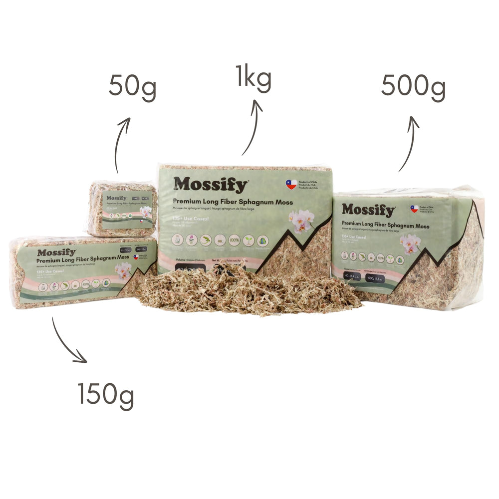 Mossify musgo esfagno sostenible para proyectos de jardín.