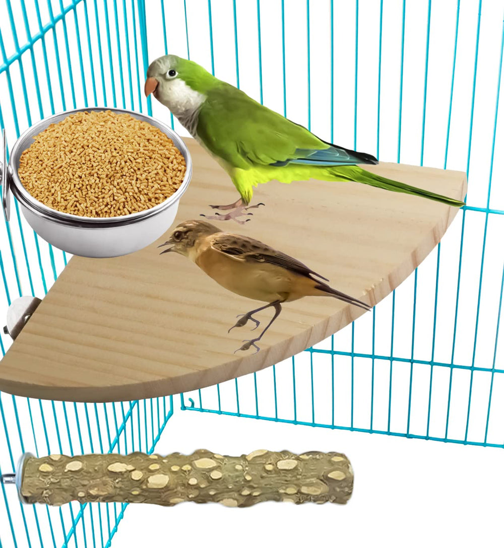MotBach cuenco para aves, acero inoxidable y fácil limpieza