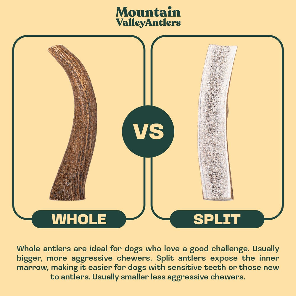 Mountain Valley Antlers: cuerno sin residuos pegajosos para casa
